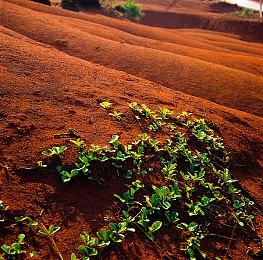 横版过关游戏《Nocturnal》Steam页面上线 支持简中